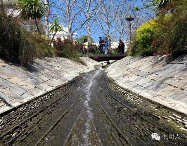 【园林设计】洛杉矶盖蒂中心中央花园