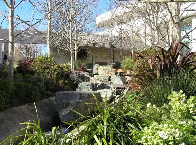 【园林设计】洛杉矶盖蒂中心中央花园