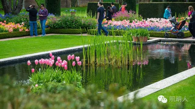 【园林设计】美国最美的庄园之一 旧金山费罗丽庄园