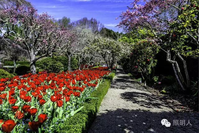 【园林设计】美国最美的庄园之一 旧金山费罗丽庄园