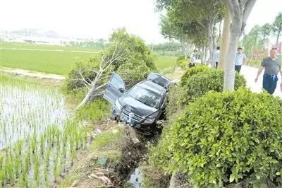 【新闻】夫妻将女儿当礼物送恩人致其怀孕壕!万元马桶安在猪圈旁南安四季家园小区内男生坠楼身亡市区最高温达到34℃-怀孕期