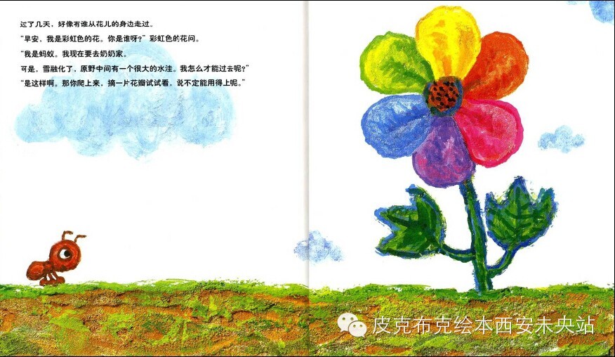 绘本故事:彩虹色的花