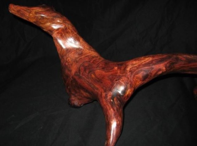 ���ϻƻ���ġ�ӫ�⡱����˿��