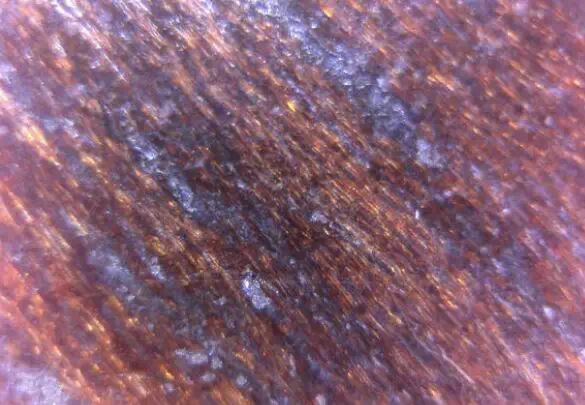 ���ϻƻ���ġ�ӫ�⡱����˿��