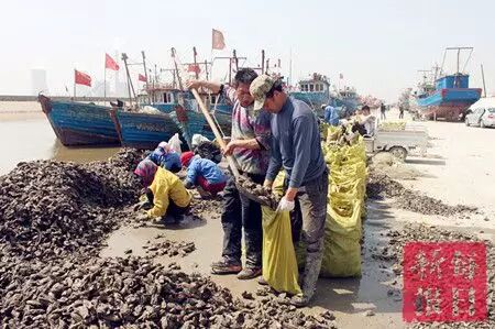 春季开海疯狂去粘皮皮虾