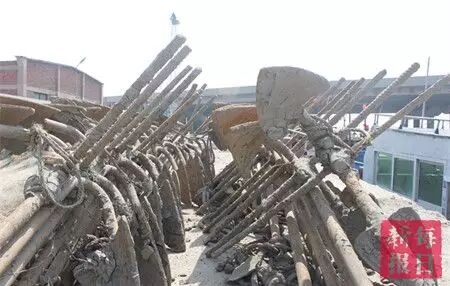 春季开海疯狂去粘皮皮虾