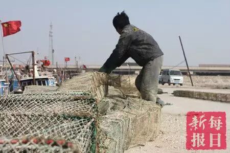 春季开海疯狂去粘皮皮虾