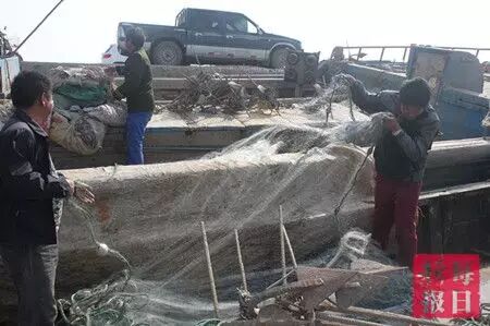 春季开海疯狂去粘皮皮虾