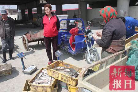 春季开海疯狂去粘皮皮虾