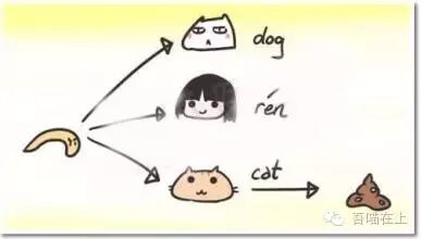 怀孕期间是否可以养猫?猫奴必看-怀孕期