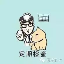 怀孕期间是否可以养猫?猫奴必看-怀孕期