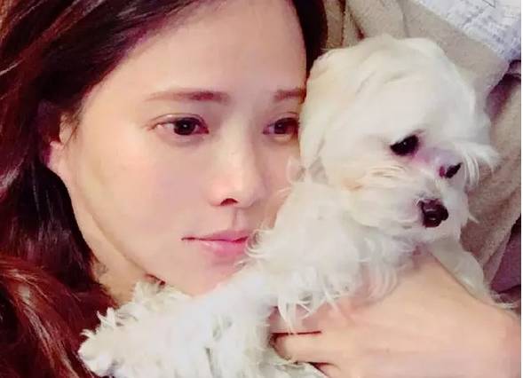 伊能静示范孕妇养狗的正确方式:她的一生不长,请别弃养!