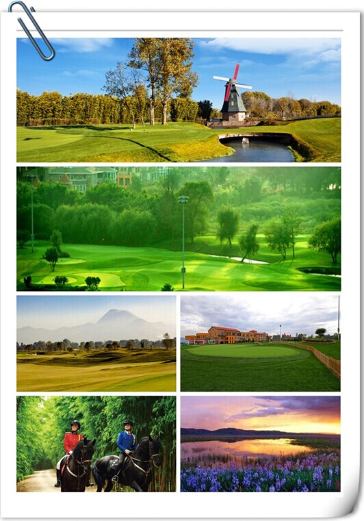 这个冬天不太冷—朝向学院青少年高尔夫冬训营火热报名中