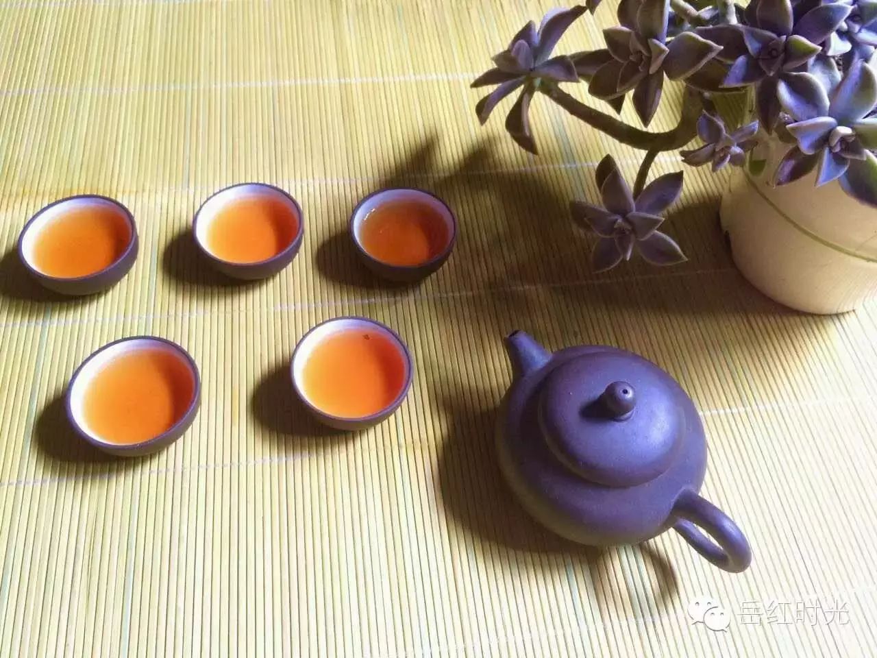 “岳红红茶”今年收益预计突破百万元