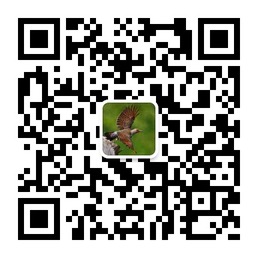 容许弥散圆直径及来历