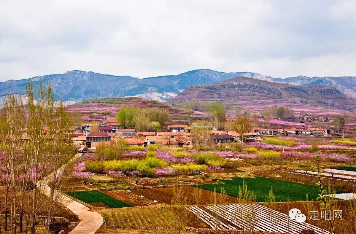 这里有"天下第一崮乡"的美誉,是中国大陆首批11个"中国最美小镇"之一