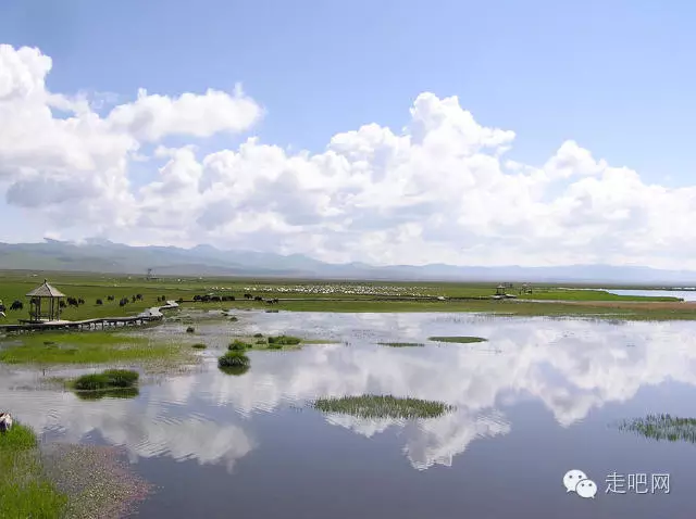 比内蒙草原多彩,比新疆草原绚烂,这绝壁是甘南川西最美的草原大环线! - 七月飞雪 - m151673196的博客 比内蒙草原多彩,比新疆草原绚烂,这绝壁是甘南川西最美的草原大环线! - 七月飞雪 - m151673196的博客