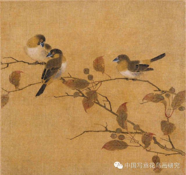 宋代花鸟画册页