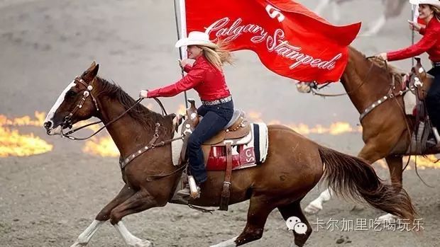 calgarystampede牛仔节我是卡尔加里代言人!