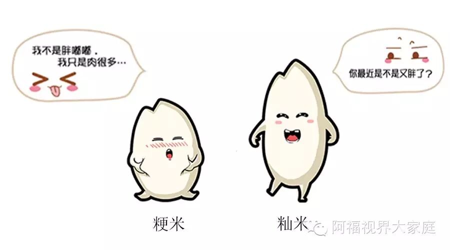 扒一扒《芈月传》里的同款粳米粥!怀孕要喝粥,生产要喝粥,熬夜看奏折也要喝粥?-怀孕期