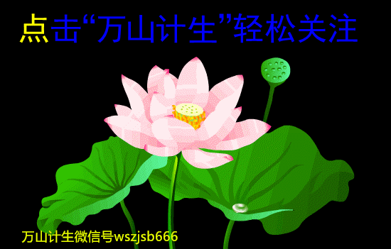 万山镇计划生育群众满意度调查有奖问答-怀孕期