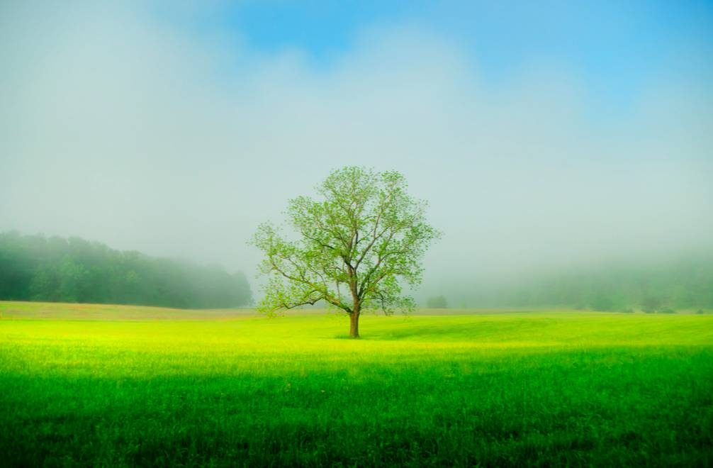 经历英文 由自己学英语的经历想到怎么给孩子做英语启蒙 …