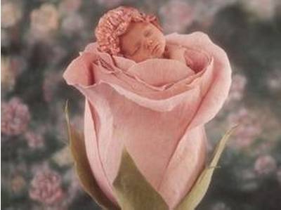 【怀孕40周】第40周:天使降临-怀孕期