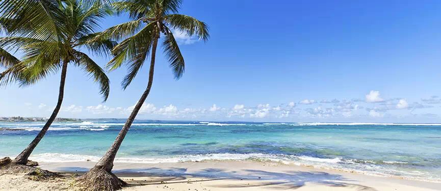 超值到爆！ 加勒比海郵輪！ 11天10晚 <wbr>吃喝住玩全包：449美元！ 會員可抵200-240積分