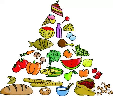 健康饮食的最佳比例 <wbr>