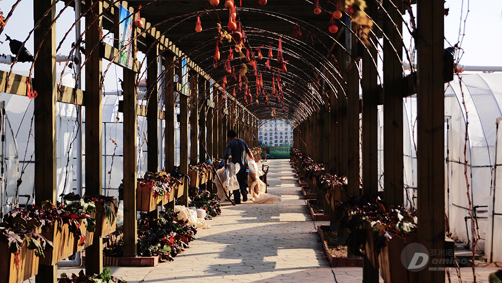 SIT校园游览攻略3.0版