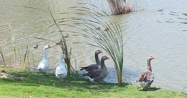 SIT校园游览攻略3.0版