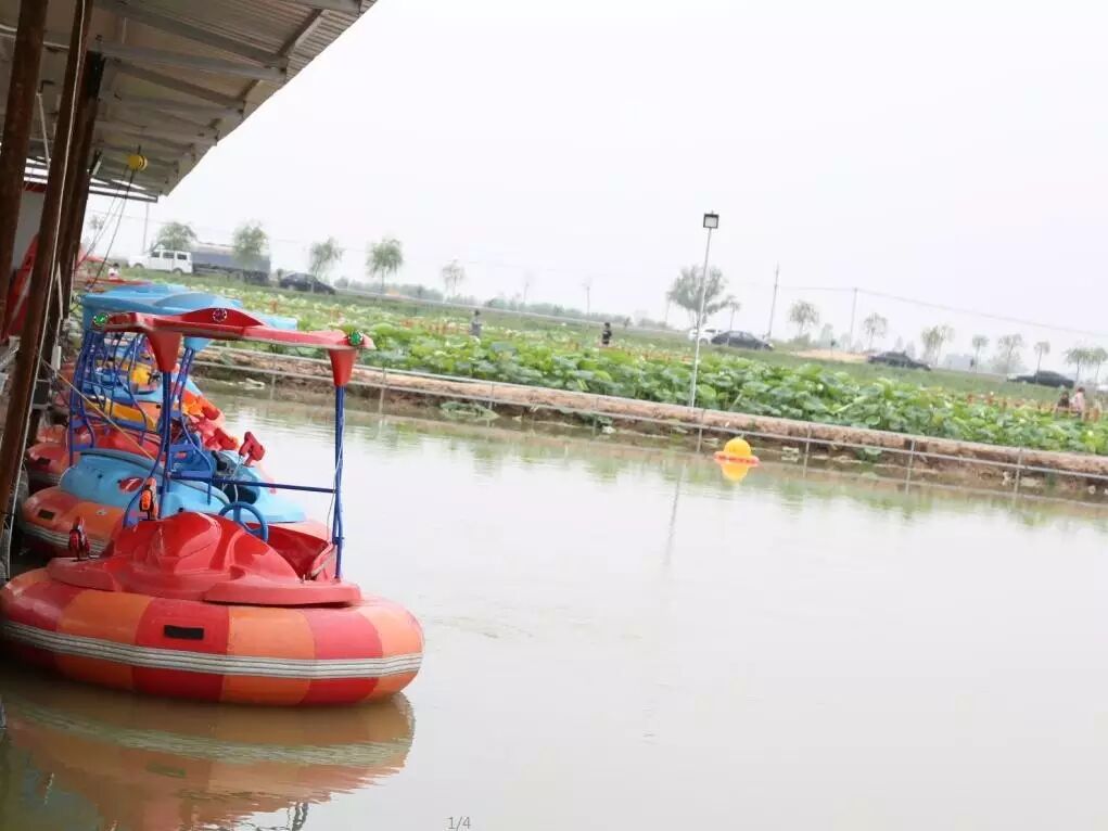 卜蜂莲花和易初莲花_莲花堂_诚忠堂莲花身世