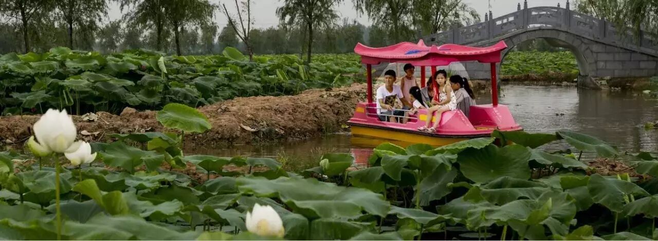 卜蜂莲花和易初莲花_莲花堂_诚忠堂莲花身世