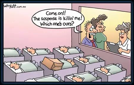 听说中国全面放开二胎,新西兰的奶牛胸前一紧-怀孕期