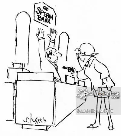 听说中国全面放开二胎,新西兰的奶牛胸前一紧-怀孕期