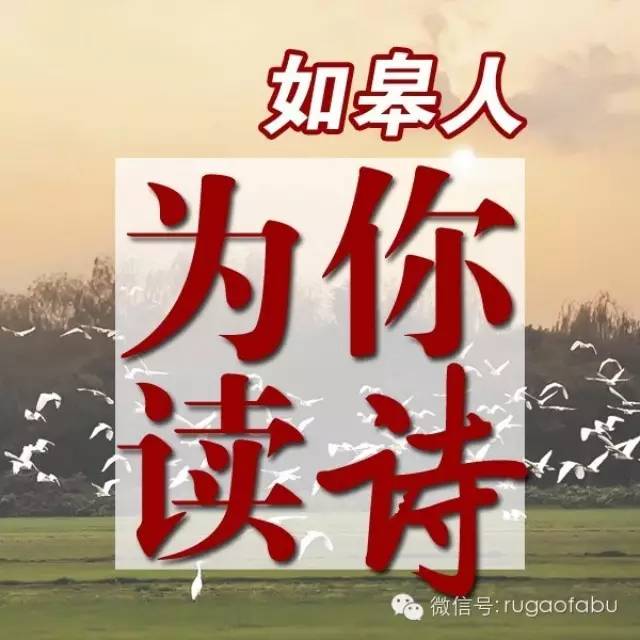 如皋人为你读诗盛超:《怀揣着乡愁赶路》