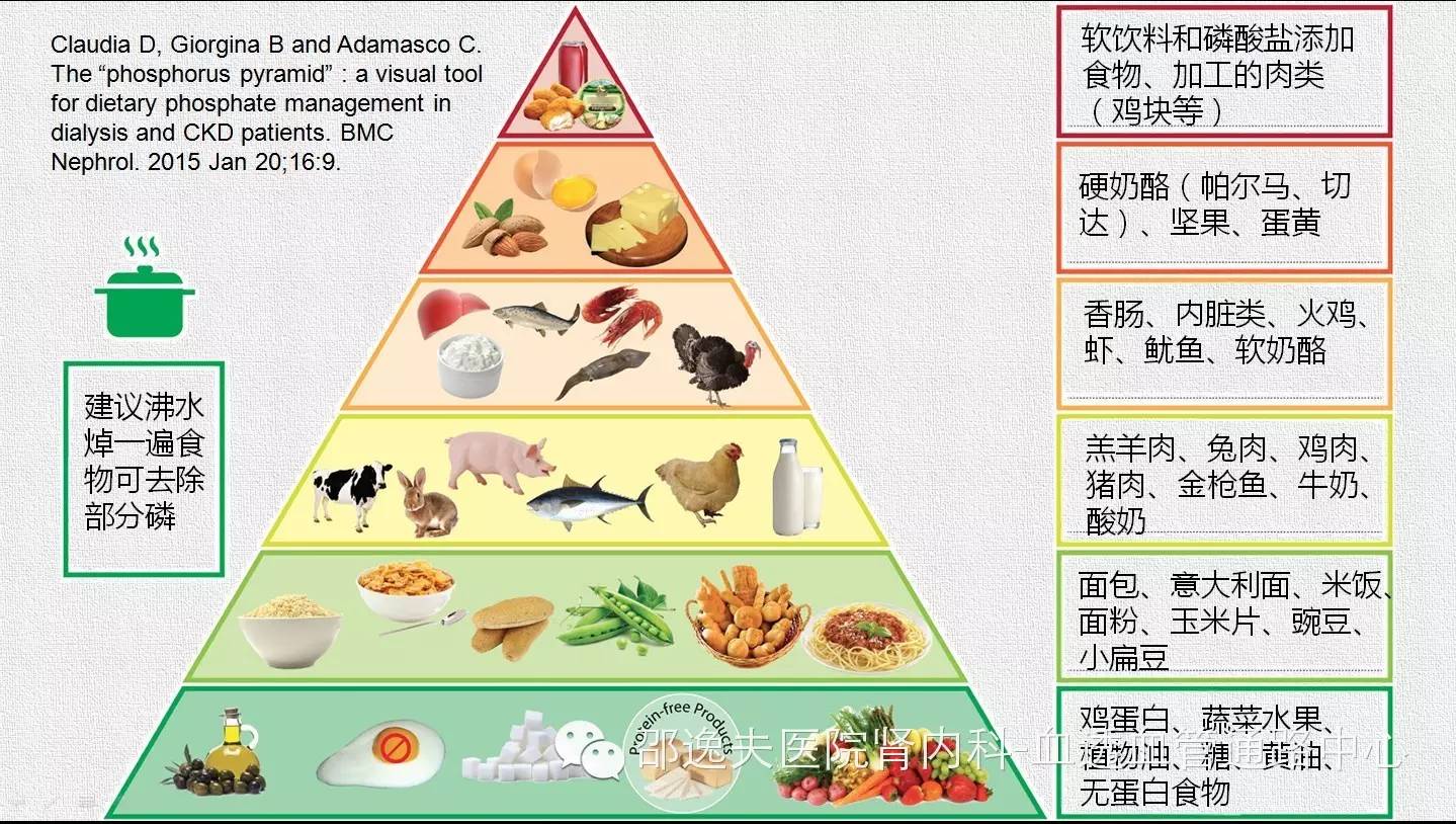 靠近底部的食物对磷而言无需限量,而顶部的食物则是严格避免.