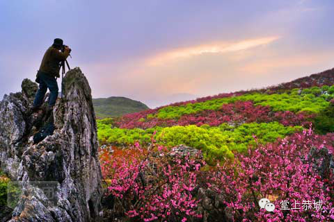 何以笙箫默，何以“爱恭城”302 / 作者:桂花糕 / 帖子ID:111606