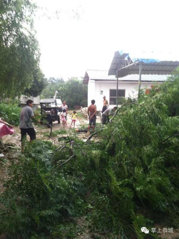 栗木镇遭遇狂风暴雨483 / 作者:@掌上恭城 / 帖子ID:103884