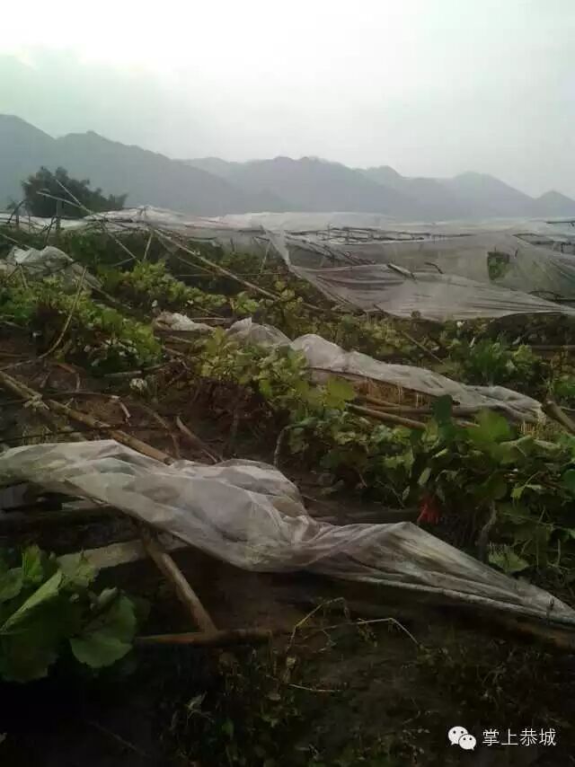 栗木镇遭遇狂风暴雨726 / 作者:@掌上恭城 / 帖子ID:103884