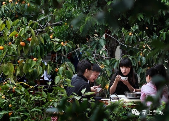 【这里是恭城】我在红岩等你654 / 作者:@掌上恭城 / 帖子ID:101502