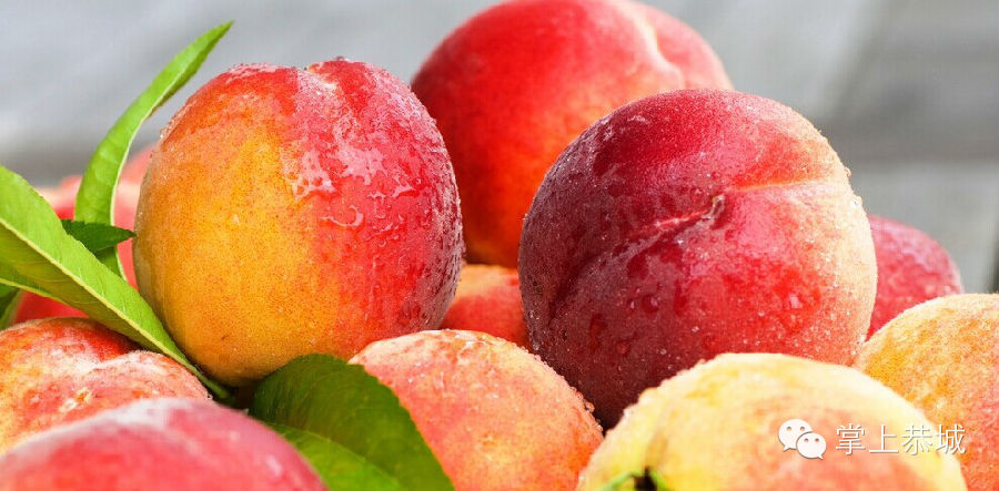 水果上市季 如何挑选适合宝宝的水果990 / 作者:@掌上恭城 / 帖子ID:102148