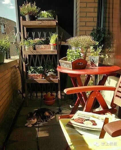 阳台，但不晒衣服！你家的阳台有这么漂亮吗？680 / 作者:@掌上恭城 / 帖子ID:102024