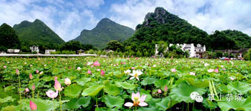 我们为什么要留在恭城？789 / 作者:@掌上恭城 / 帖子ID:102146