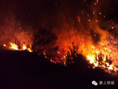 恭城栗木：烧马蜂引发山林火灾表示今天才看到这个新闻870 / 作者:红通通 / 帖子ID:105179