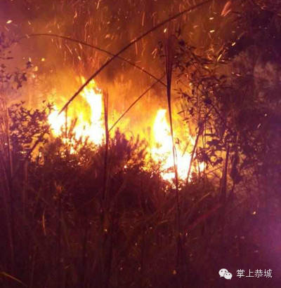 恭城栗木：烧马蜂引发山林火灾表示今天才看到这个新闻469 / 作者:红通通 / 帖子ID:105179