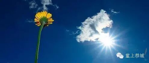 这些事千万别去做276 / 作者:@掌上恭城 / 帖子ID:101638