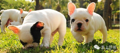 这些事千万别去做197 / 作者:@掌上恭城 / 帖子ID:101638