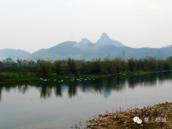 美丽茶江 梦里老家806 / 作者:黄子 / 帖子ID:101394