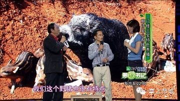 广西卫视《第一书记》走进恭城81 / 作者:@掌上恭城 / 帖子ID:101529